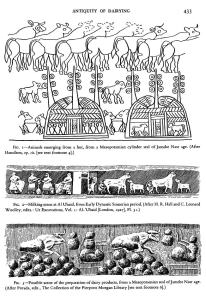 Image from Antiquity of Dairying