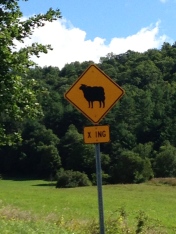 Washington County sheep crossing sign close to 3 - Corner Field Farm